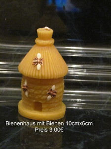 bienenhaus mit Bienen 10x6 3