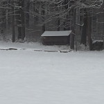 Bienenfreistand 31.12.2014 Siegersdorf