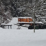 20141231_130638[1]