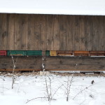 20141231_131553[1]