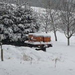 20141231_131858[1]
